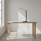 LED Desk Lamp with USB Charging Port