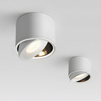 Aluminium LED Ceiling Light - Efficient Brightness with 30° Tilt 0