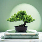 Artificial Mini Bonsai Plant - Realistic Faux Decor for Indoor Spaces 1