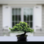 Artificial Mini Bonsai Plant - Realistic Faux Decor for Indoor Spaces 4
