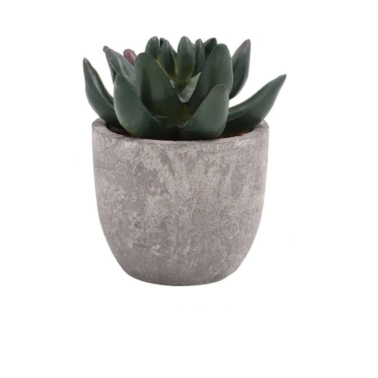 Artificial Succulent Plant - Realistic Faux Greenery for Indoor Decor 10