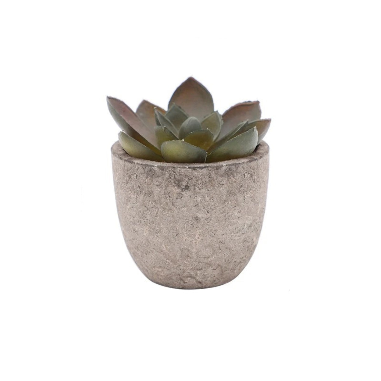 Artificial Succulent Plant - Realistic Faux Greenery for Indoor Decor 11