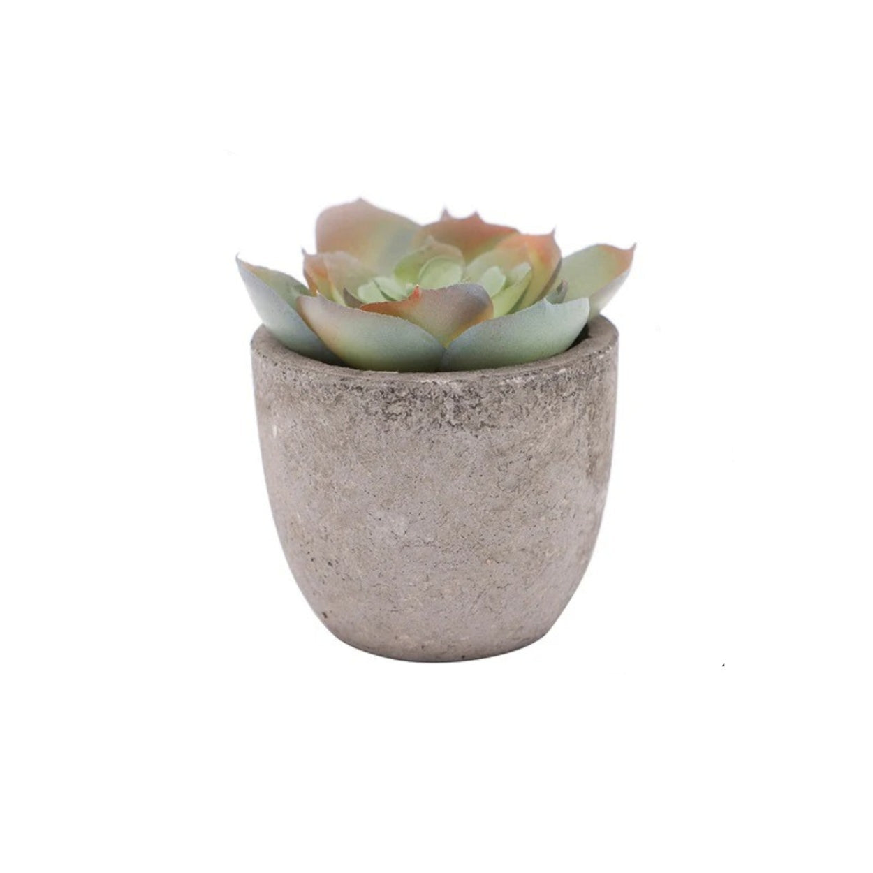 Artificial Succulent Plant - Realistic Faux Greenery for Indoor Decor 12