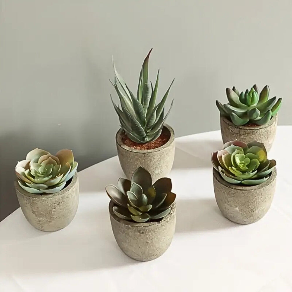 Artificial Succulent Plant - Realistic Faux Greenery for Indoor Decor 2