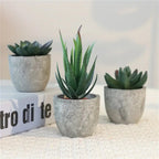 Artificial Succulent Plant - Realistic Faux Greenery for Indoor Decor 4