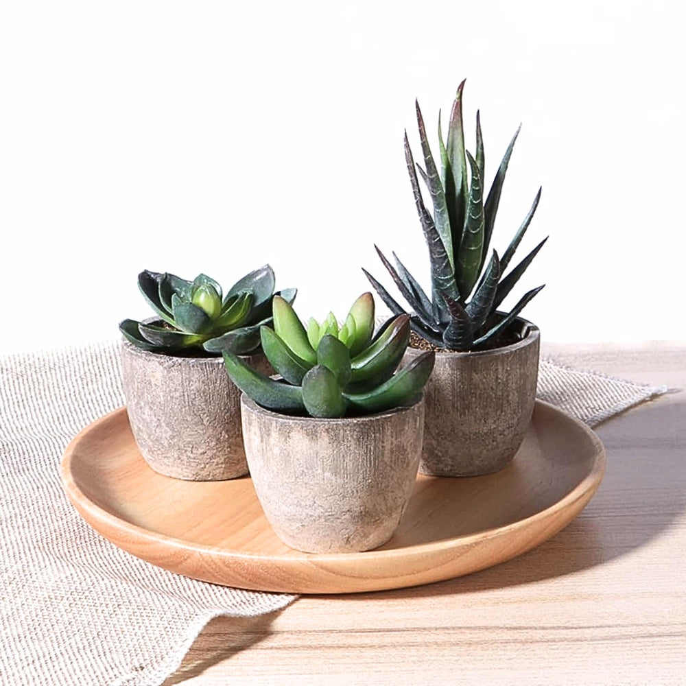 Artificial Succulent Plant - Realistic Faux Greenery for Indoor Decor 7
