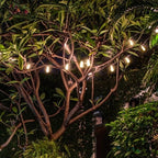 Black Solar String Lights Outdoor - Weatherproof, Minimalist Design, 10-30 LEDs 8