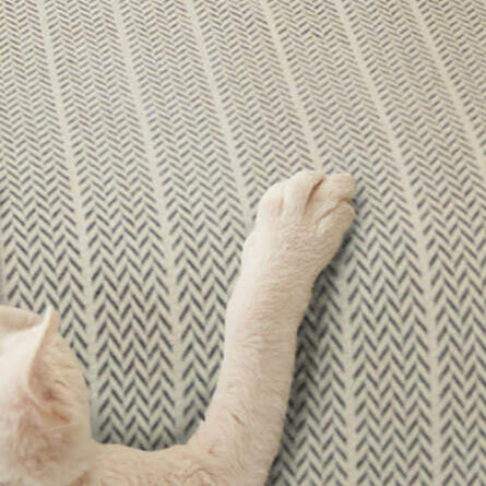 Chenille Sofa Cover - Pet-Friendly Protection & Easy Care for Couches 6