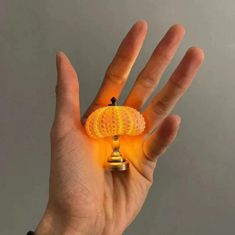 DIY Sea Urchin Night Lamp - Unique Design for Ambient Lighting 2