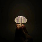 DIY Sea Urchin Night Lamp - Unique Design for Ambient Lighting 5