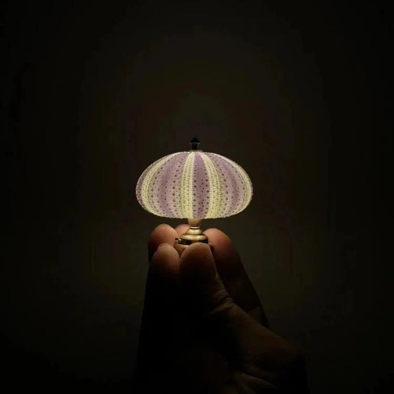 DIY Sea Urchin Night Lamp - Unique Design for Ambient Lighting 5
