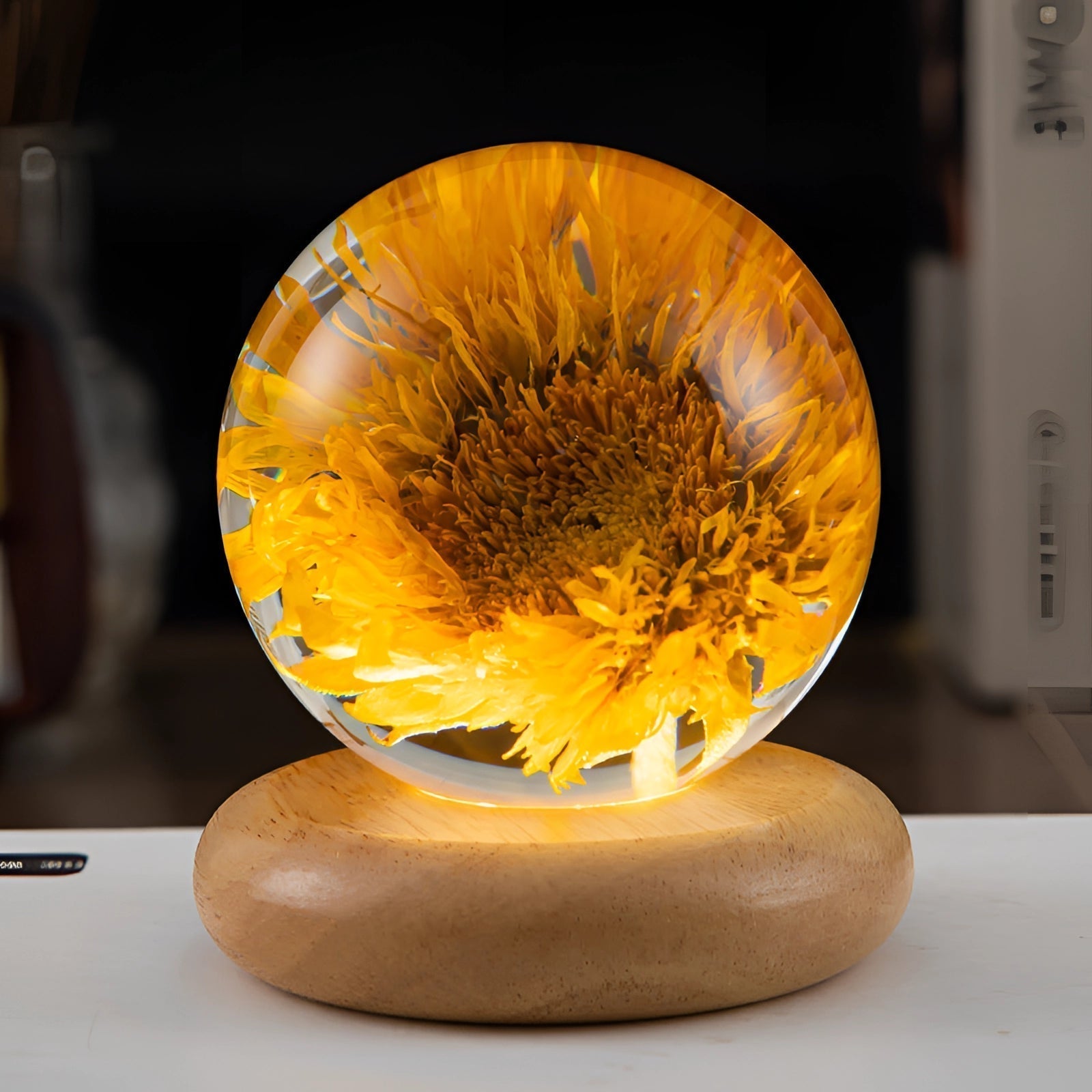 Dandelion Resin Bedside Lamp - Elegant LED Night Light with Wooden Base 12