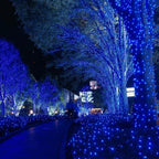 Blue LED string lights wrapped around trees and bushes along a nighttime pathway, creating a glowing blue canopy in an outdoor park setting.