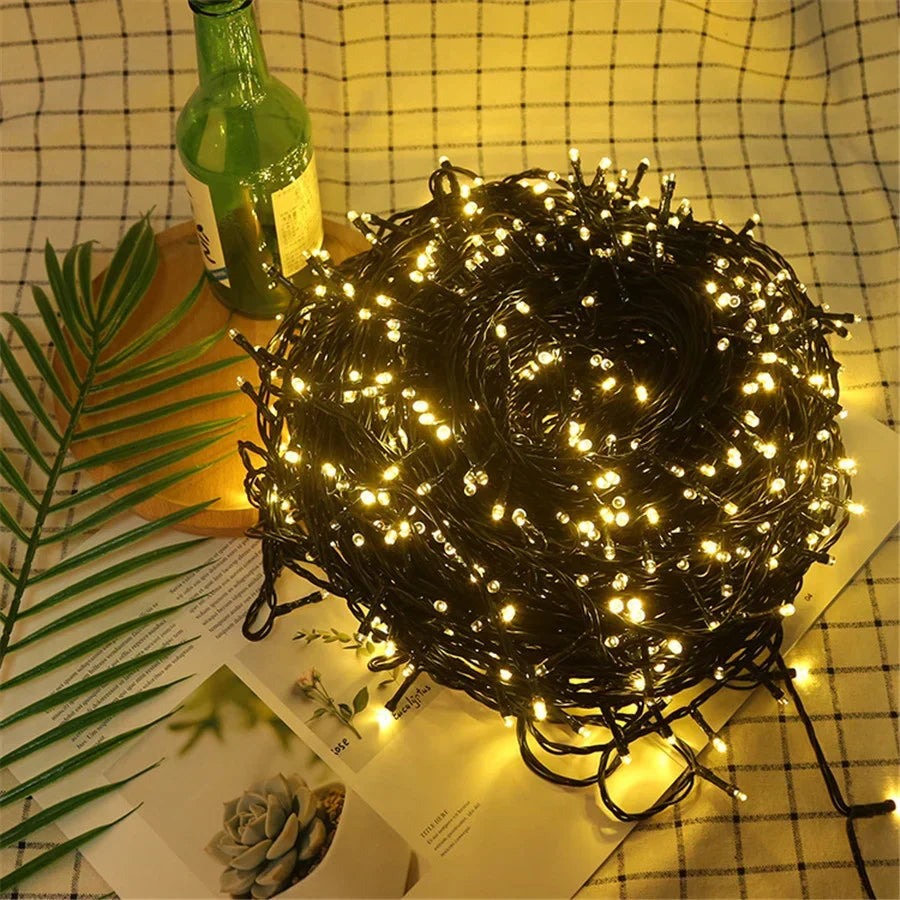 String lights coiled on a surface with a bottle and plant leaves in the background
