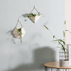 Geometric wall planters with plants on a light gray wall.