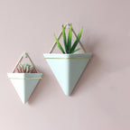 Geometric Terrarium Wall Hanging Planter Display for Succulents and Air Plants 1