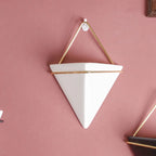 Geometric Terrarium Wall Hanging Planter Display for Succulents and Air Plants 2