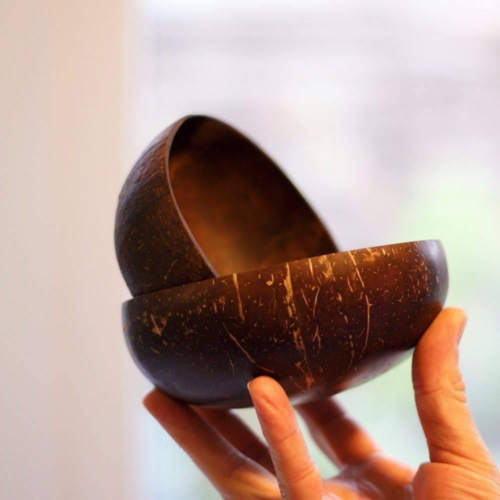 Hand holding a coconut shell bowl against a blurred background