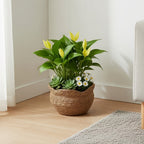 Handwoven Rattan Planter - Boho & Scandinavian Style Plant Pot 5