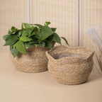 Handwoven Rattan Planter - Boho & Scandinavian Style Plant Pot 8