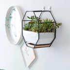 Hexa Frame Wall Planter - Stylish Indoor Wall Hanging Planters with Durable Design 0