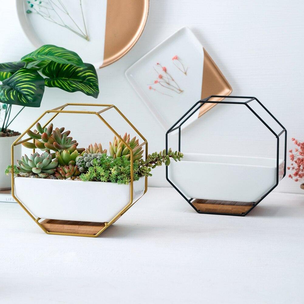 Hexa Frame Wall Planter - Stylish Indoor Wall Hanging Planters with Durable Design 8