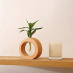 Hydro Vase - Eco-Friendly Flower Vase for Root Growth Display 7