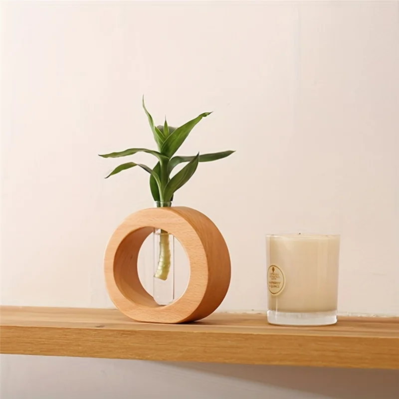 Hydro Vase - Eco-Friendly Flower Vase for Root Growth Display 7