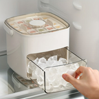 Ice cube tray with frozen cubes being removed from a freezer