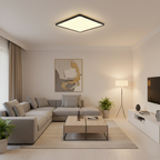 Modern living room with a ceiling light fixture, sofa, coffee table, and decorative elements.