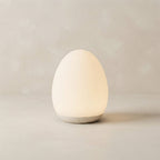 LED Night Light Egg Shape Silicone Touch Control 7 Color Rechargeable 1