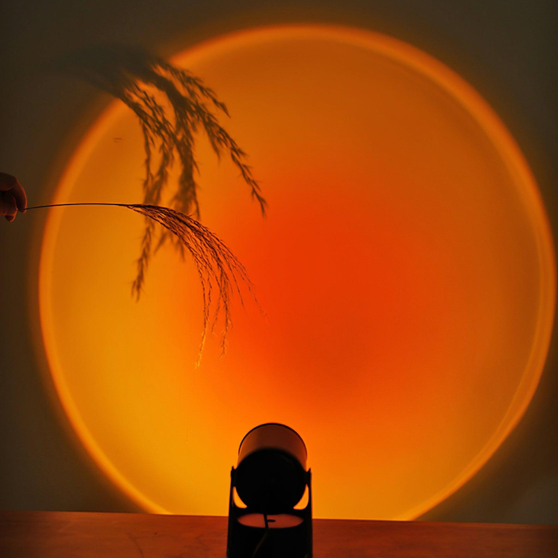 Silhouette of a person holding a plant against an orange sunset sky