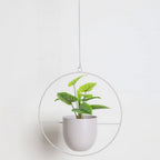 A green potted plant with heart-shaped leaves hanging inside a large circular metal frame, suspended by a thin cord against a plain white wall.