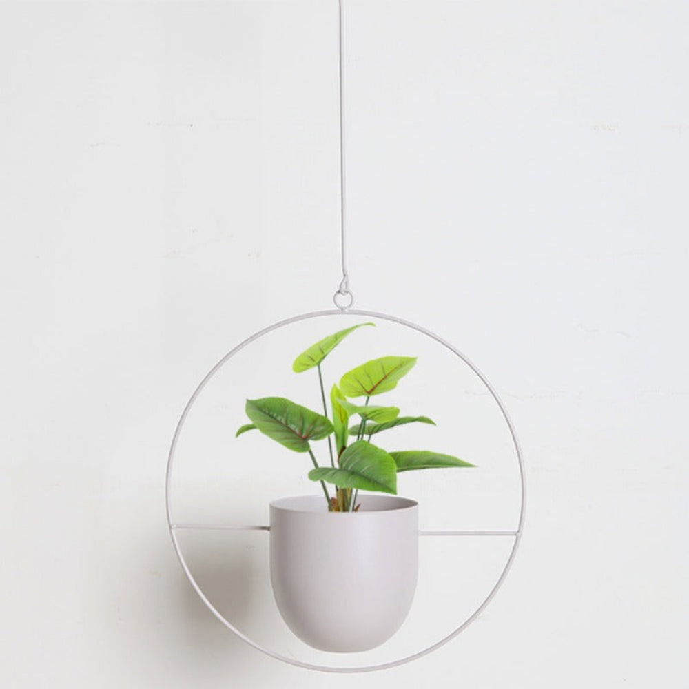 A green potted plant with heart-shaped leaves hanging inside a large circular metal frame, suspended by a thin cord against a plain white wall.