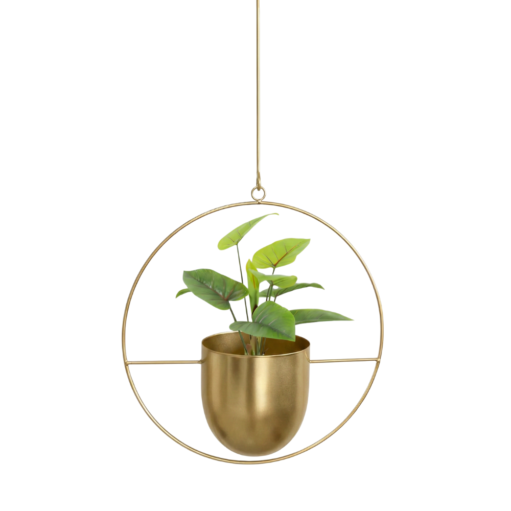 Gold hanging planter with a small green plant on a white background