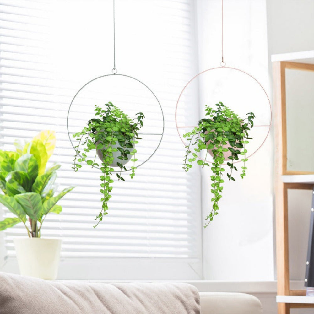 Hanging plants in decorative circular holders against a white window blind background.