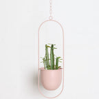 Pink hanging planter with a cactus on a light gray background