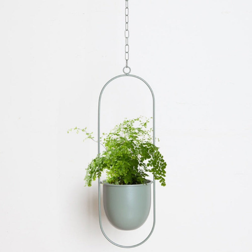 Hanging plant pot with a chain on a white background