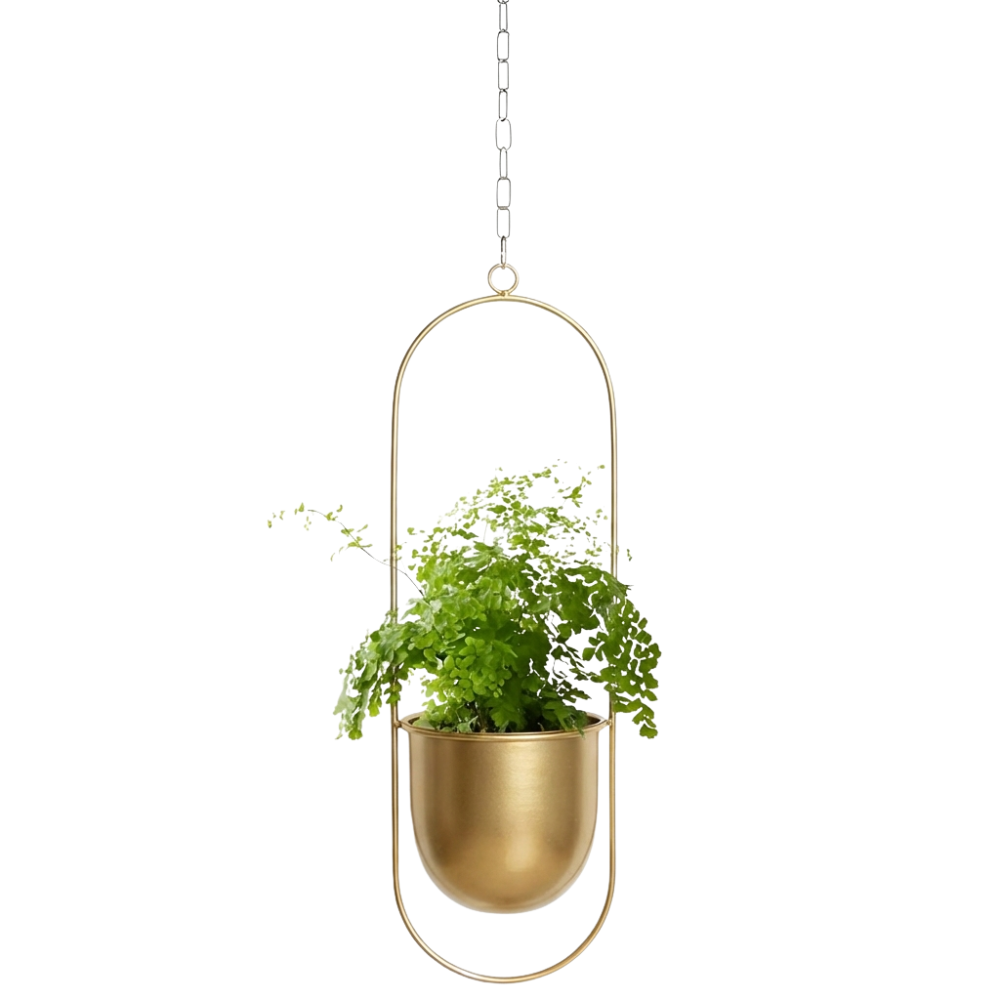 Gold hanging planter with a plant on a white background