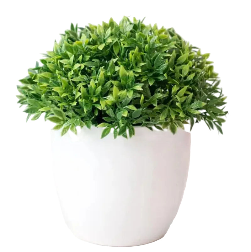 Mini Bonsai Tree - Realistic Indoor Decor for Low Maintenance Aesthetic 0