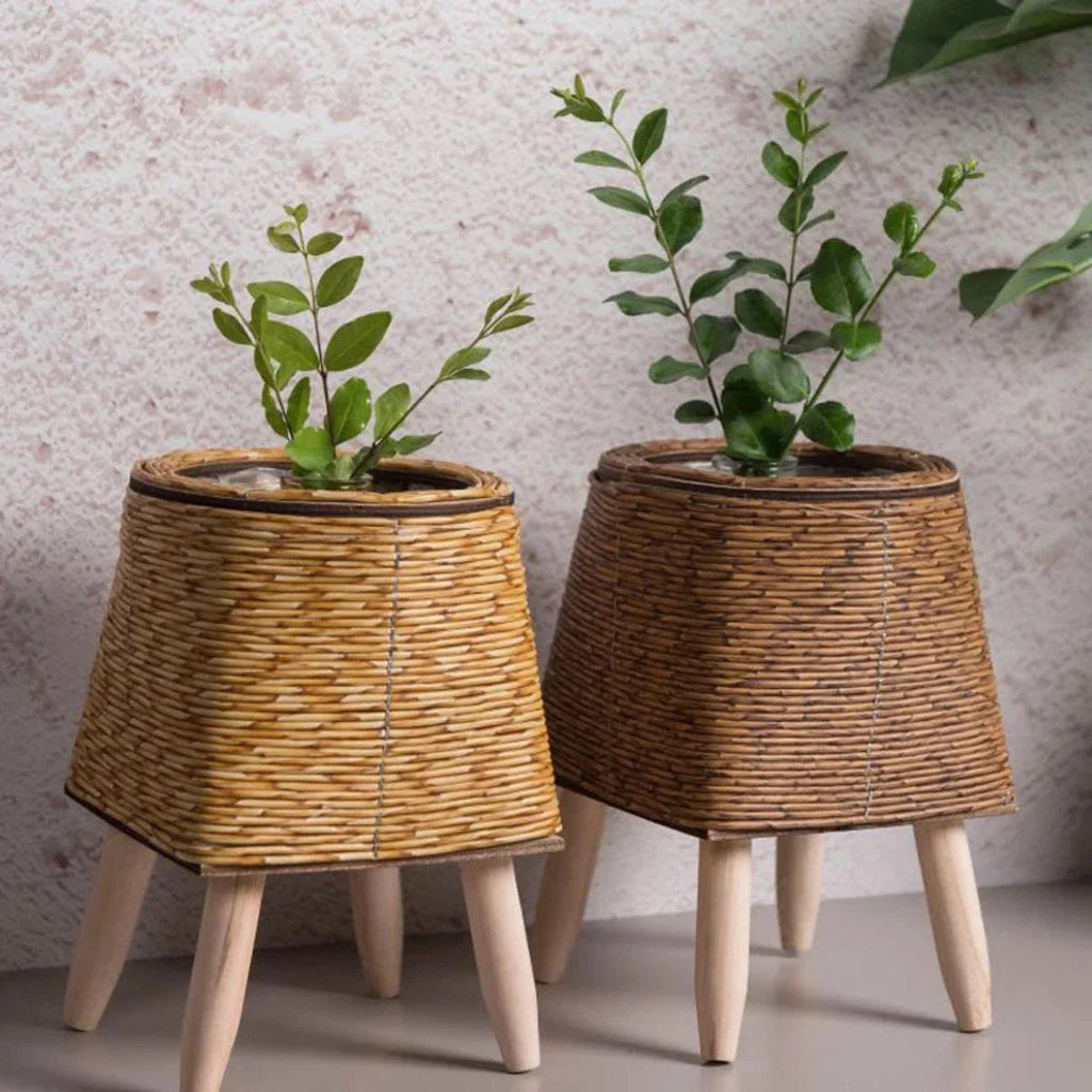 Puck Plant Pot - Lightweight, Durable Design for Indoor & Outdoor Use 6
