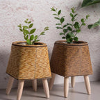 Puck Plant Pot - Lightweight, Durable Design for Indoor & Outdoor Use 6