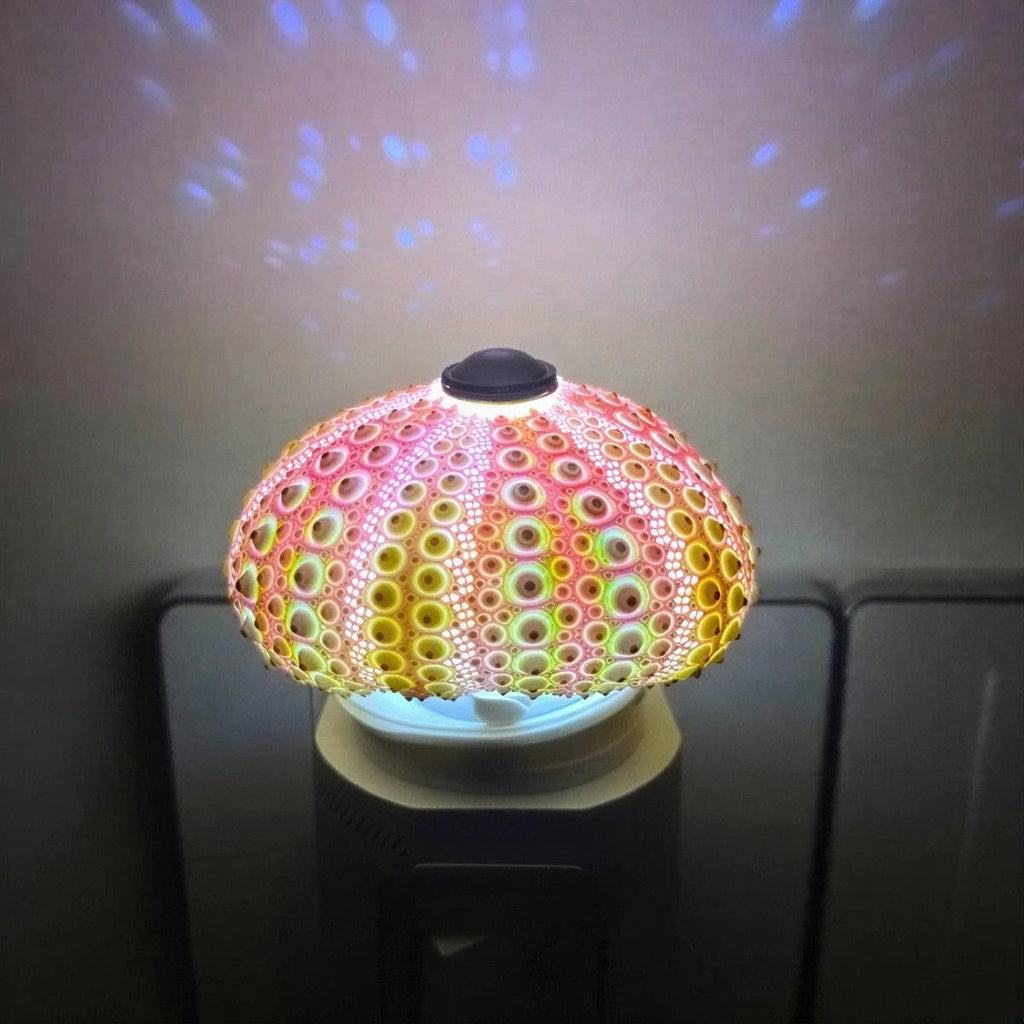 Sea Urchin Table Lamp - Unique Battery Operated Nightstand Light 4