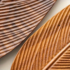 Close-up of two brown feathers on a light background