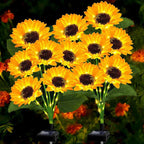 Solar Garden Lights - 12 Hour Illumination & Waterproof Design, 2-Pack 0