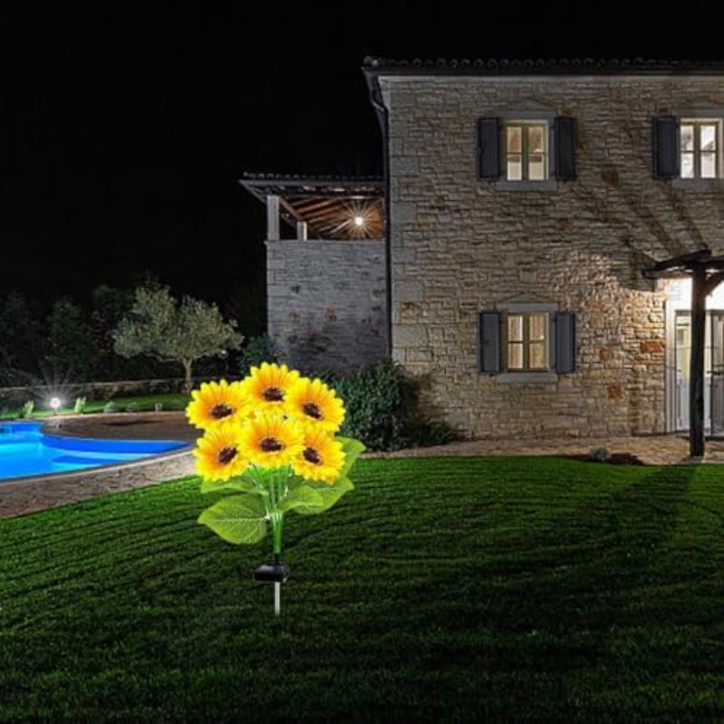Solar Garden Lights - 12 Hour Illumination & Waterproof Design, 2-Pack 1
