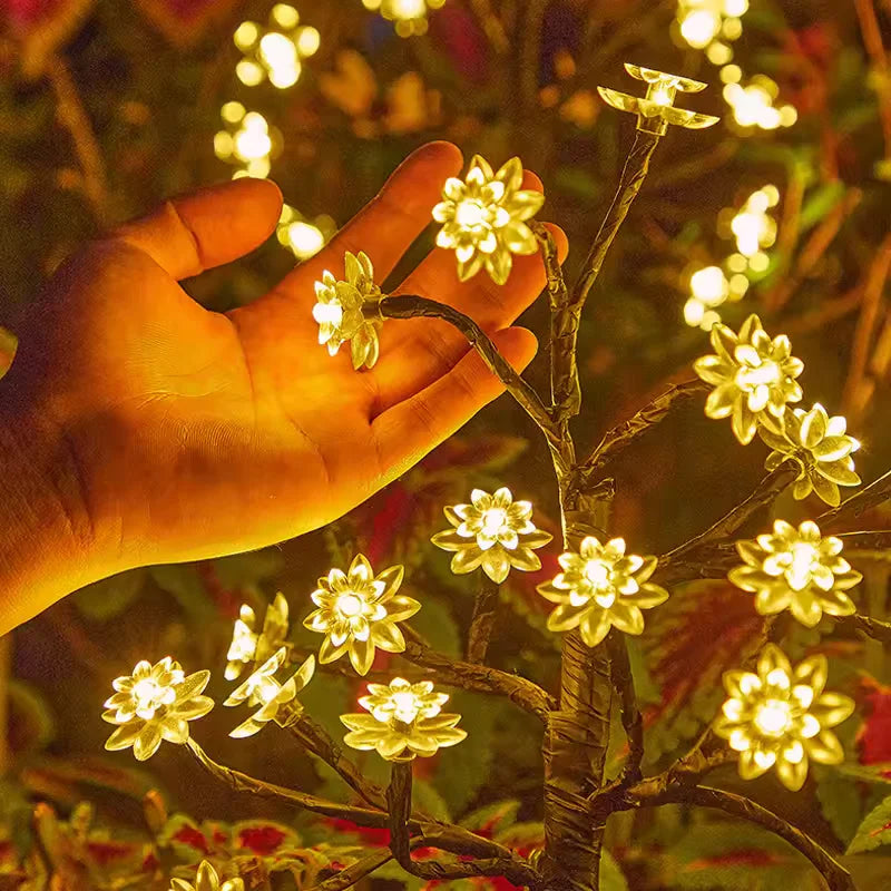 Solar Garden Lights - Eco-Friendly, Weather-Resistant Outdoor Illumination 6