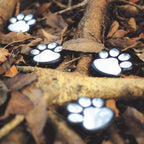 Solar Garden Lights with Paw Print Design – Weatherproof Outdoor LED Pathway Lighting with Automatic Sensor 3