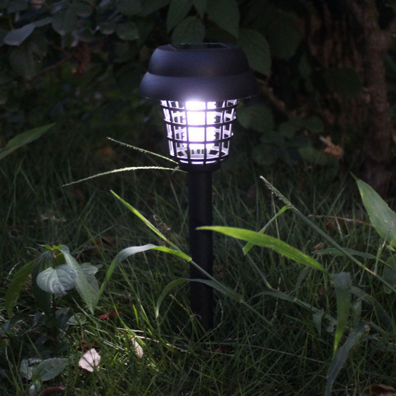 Solar-powered outdoor light fixture in a grassy area