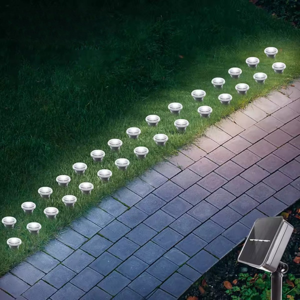 Solar Pathway Lights - 8 Modes, Waterproof, Energy Efficient Design 4